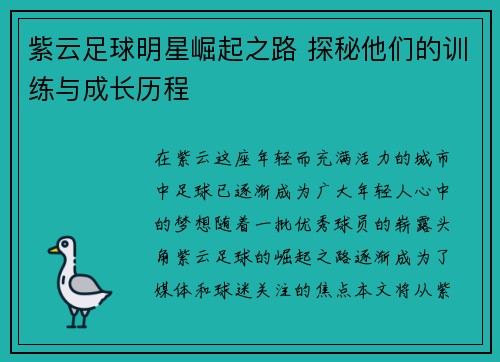 紫云足球明星崛起之路 探秘他们的训练与成长历程